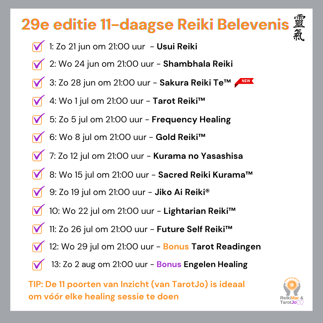 Reiki Belevenis
